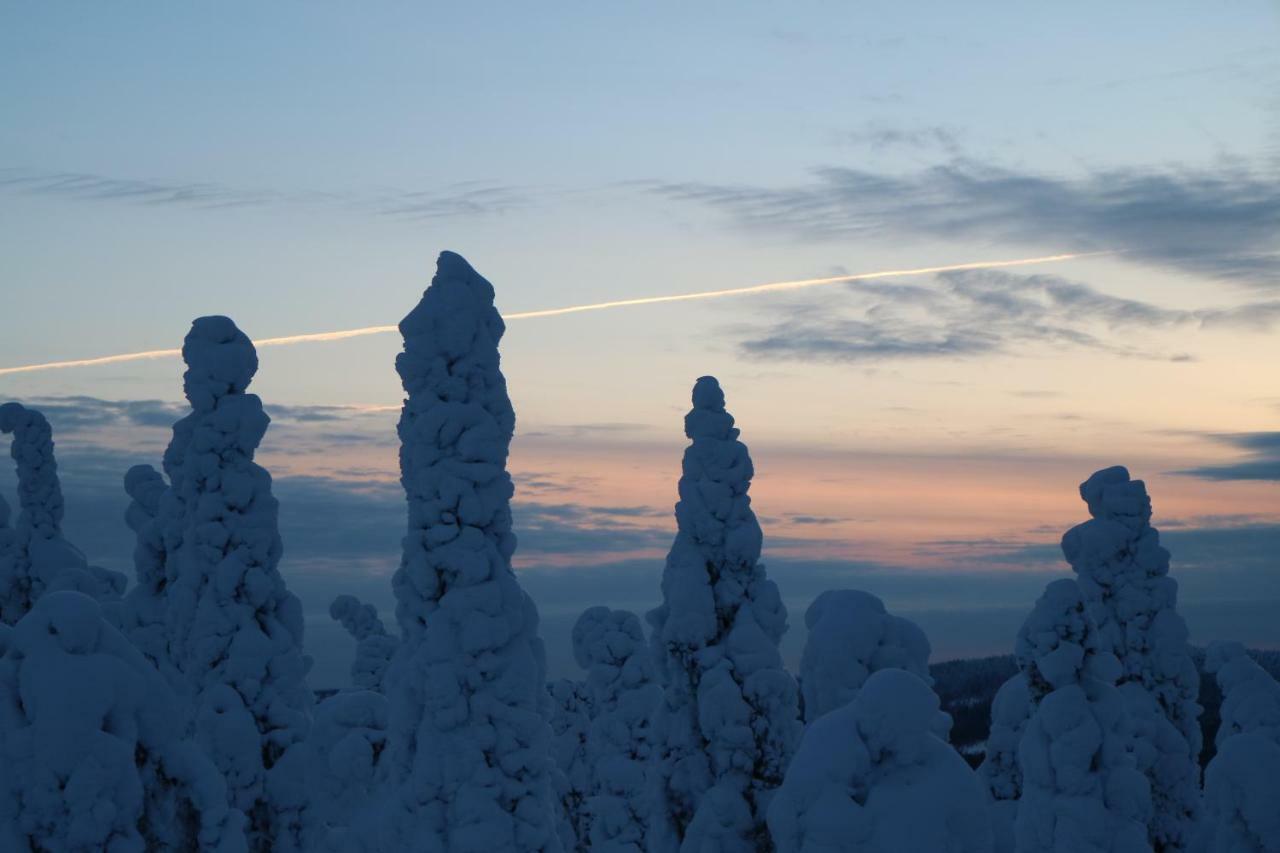 Polaris Homes For You Rovaniemi Ngoại thất bức ảnh
