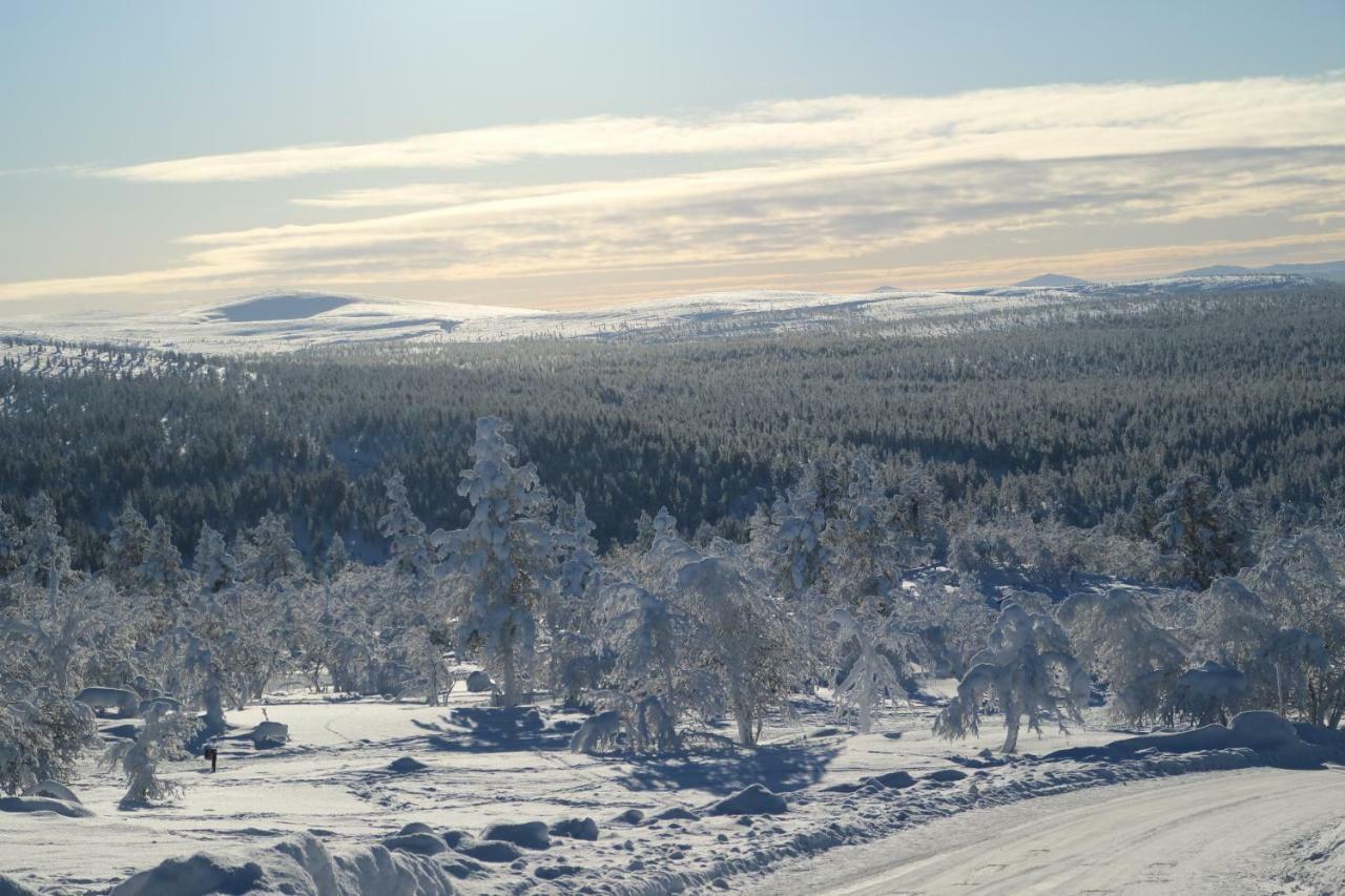 Polaris Homes For You Rovaniemi Ngoại thất bức ảnh