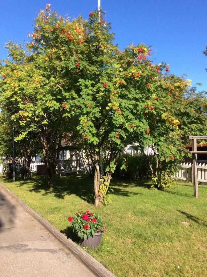 Polaris Homes For You Rovaniemi Ngoại thất bức ảnh